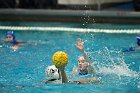 WWPolo vs CC  Wheaton College Women’s Water Polo compete in their sports inaugural match vs Connecticut College. - Photo By: KEITH NORDSTROM : Wheaton, water polo, inaugural